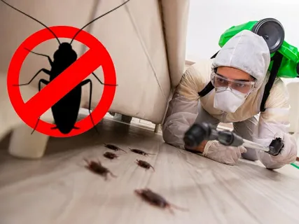 How Pest Control Companies in Dubai Use Eco-Friendly Solutions