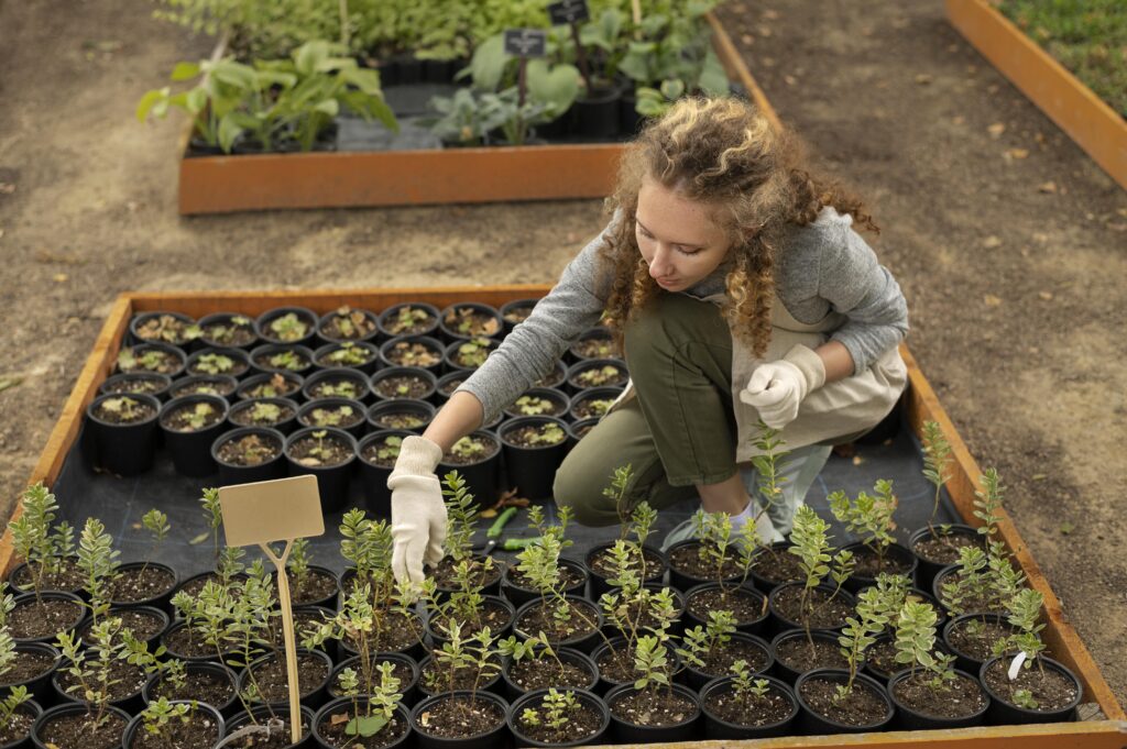 garden planting guide