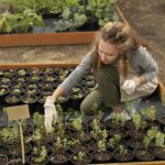 garden planting guide