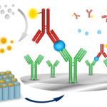 ELISA Assay Method