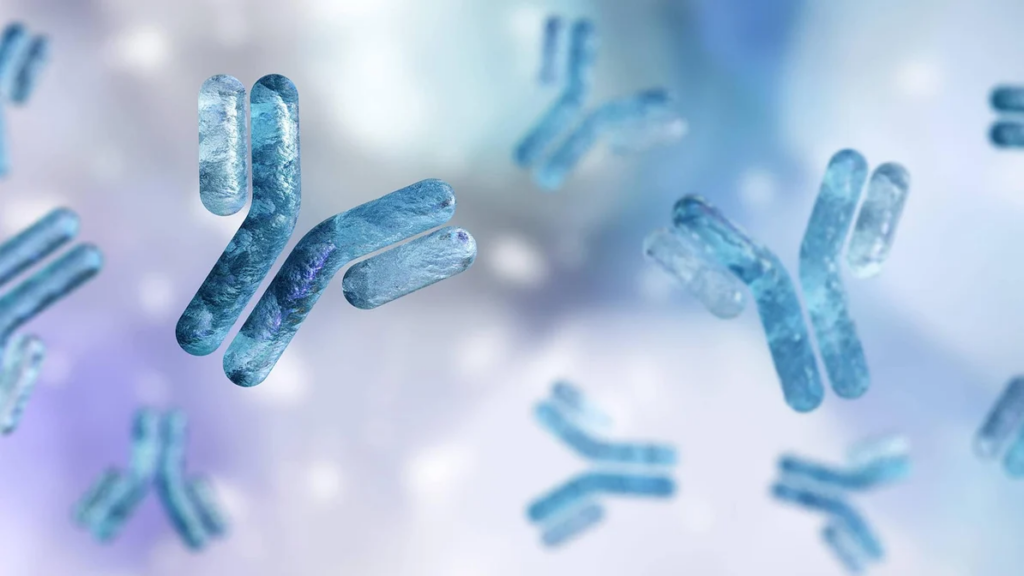 Immunogenicity Assay