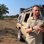 wildebeest migration tracker