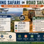 african safari packages